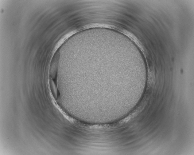 X0000085220898200704091929