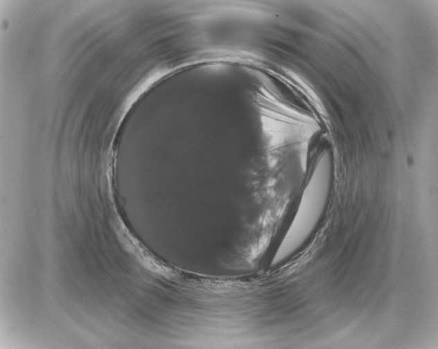 X0000085220899200704091929