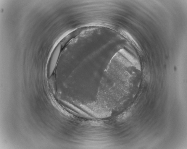 X0000085220900200704091929