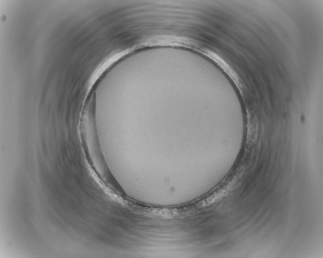 X0000085220901200704091929