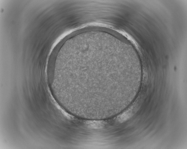 X0000085220902200704091929