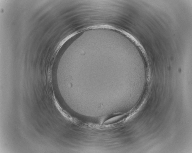 X0000085220905200704091929