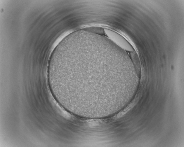 X0000085220906200704091929