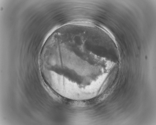 X0000085220907200704091929