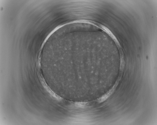 X0000085220908200704091929