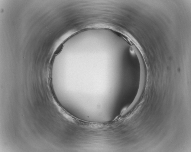 X0000085220909200704091928