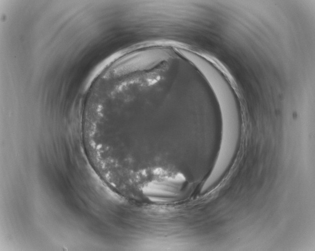 X0000085220910200704091928