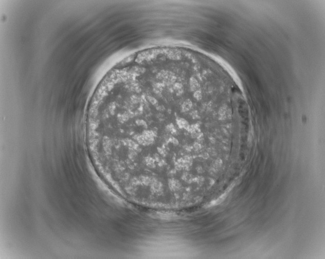 X0000085220911200704091928