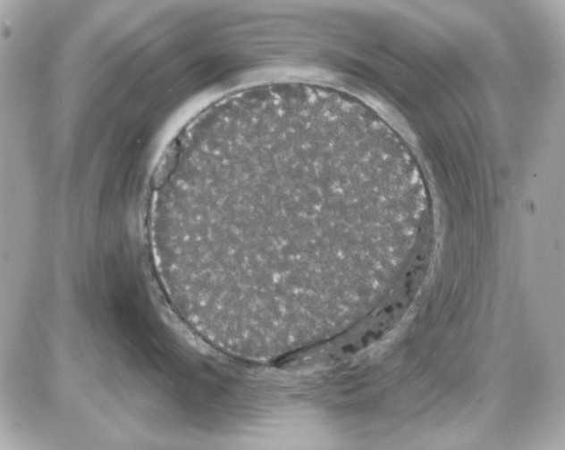 X0000085220912200704091928