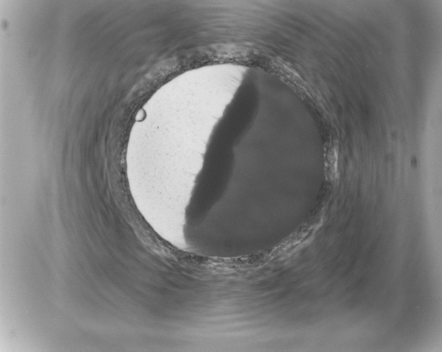 X0000085220913200704091928