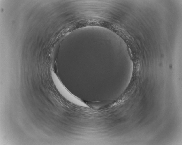 X0000085220916200704091928