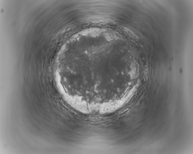 X0000085220917200704091928