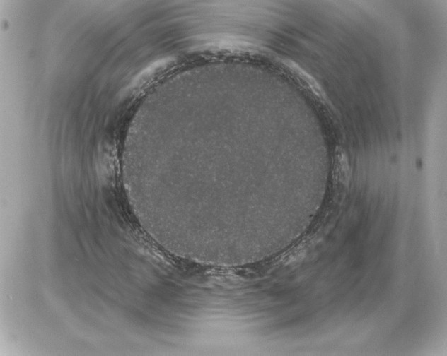 X0000085220918200704091928