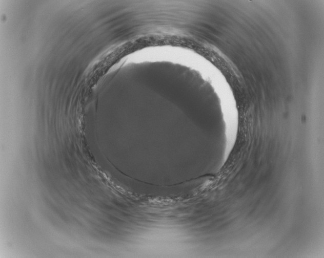 X0000085220919200704091928