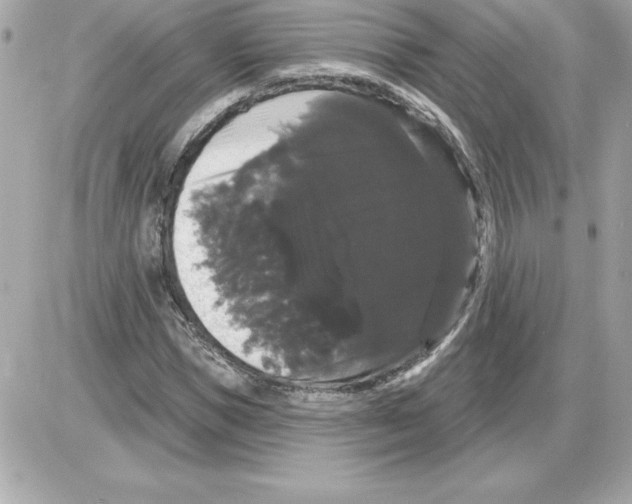 X0000085220921200704091928