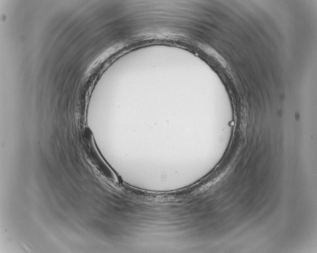 X0000085220922200704091928