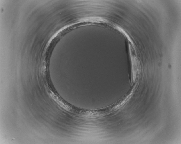 X0000085220923200704091928