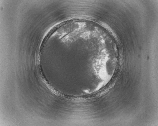 X0000085220924200704091928