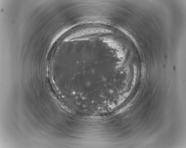 X0000085220925200704091928