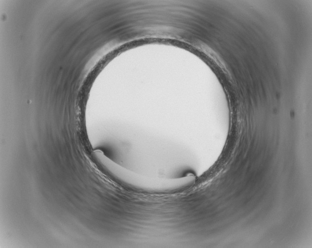 X0000085220926200704091928