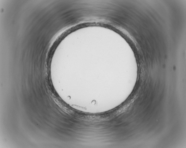 X0000085220927200704091928