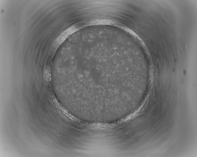 X0000085220929200704091928