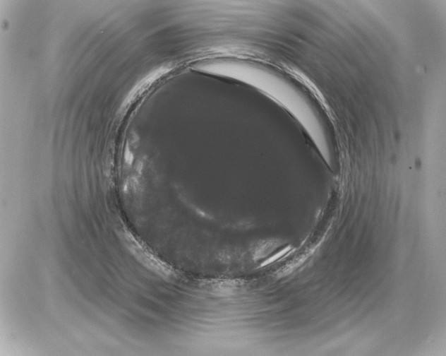 X0000085220930200704091928