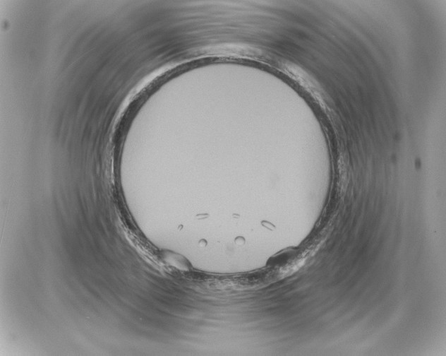 X0000085220931200704091928