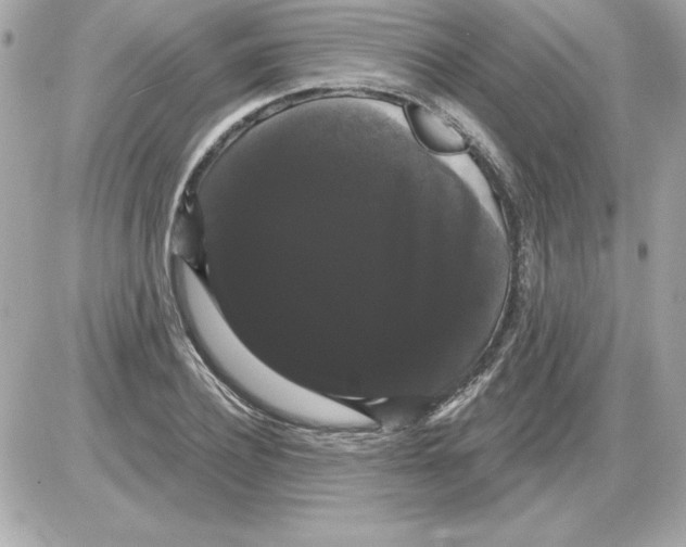 X0000085220932200704091928