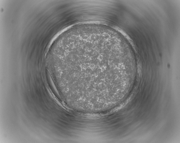 X0000085220933200704091928