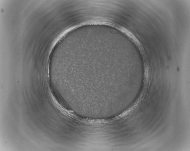 X0000085220934200704091928