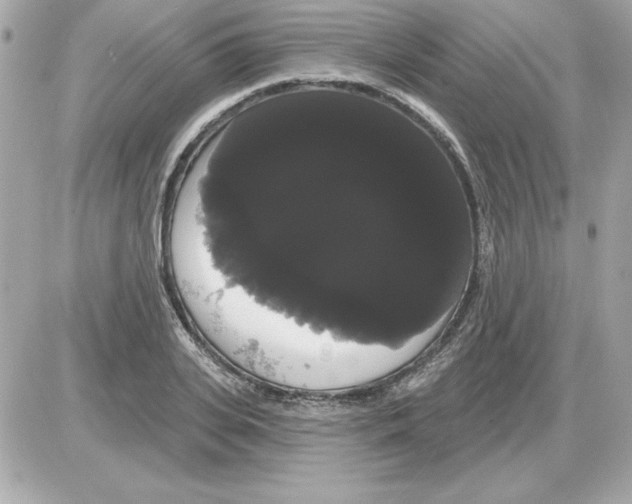 X0000085220935200704091928