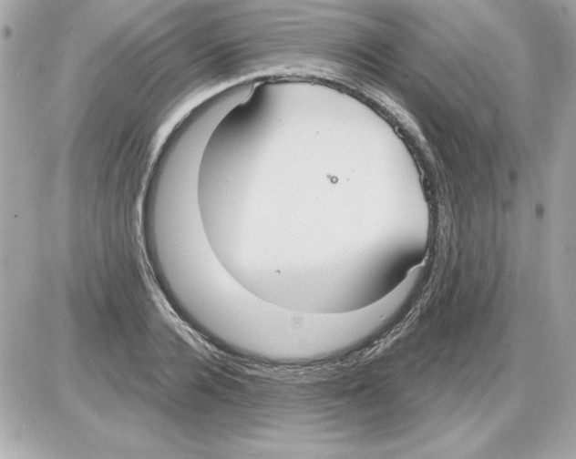 X0000085220936200704091928