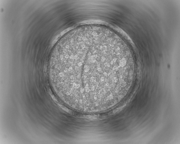 X0000085220937200704091928