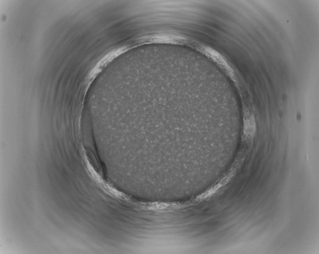 X0000085220938200704091928