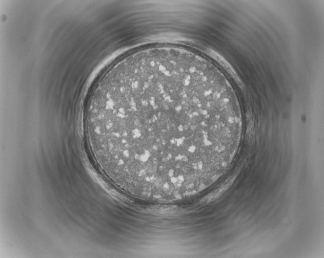 X0000085220939200704091928