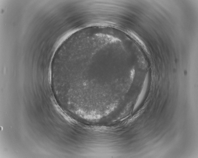 X0000085220940200704091928