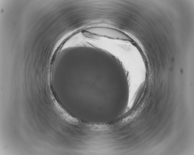 X0000085220941200704091928