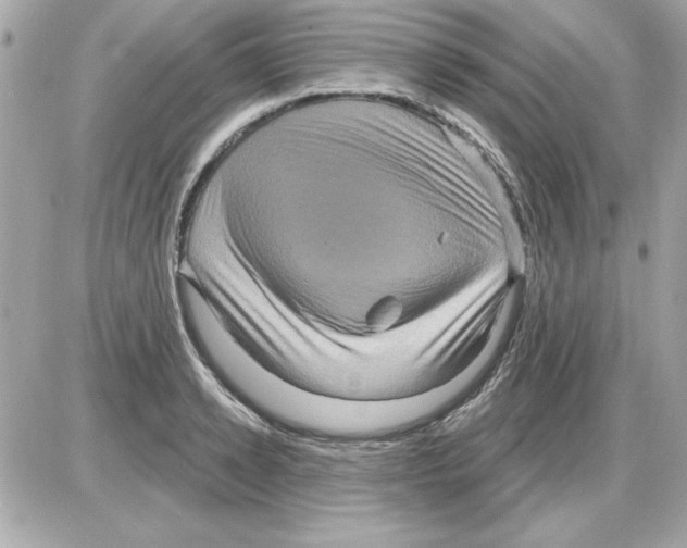 X0000085220942200704091928