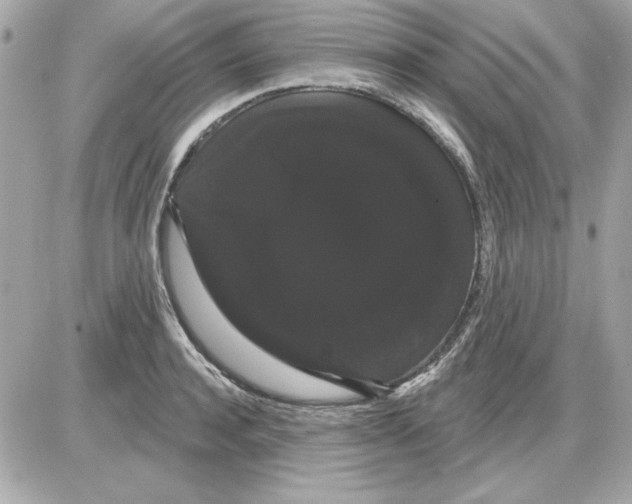 X0000085220944200704091928