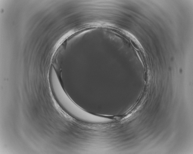 X0000085220946200704091928