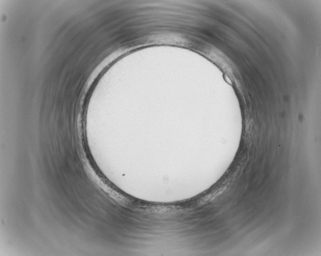 X0000085220947200704091928