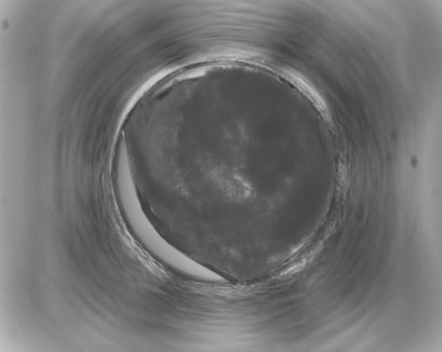 X0000085220948200704091928