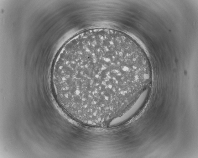 X0000085220949200704091928