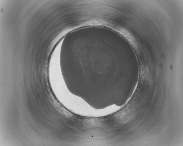 X0000085220950200704091928