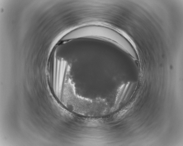 X0000085220951200704091928