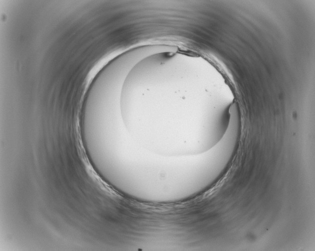 X0000085220952200704091928