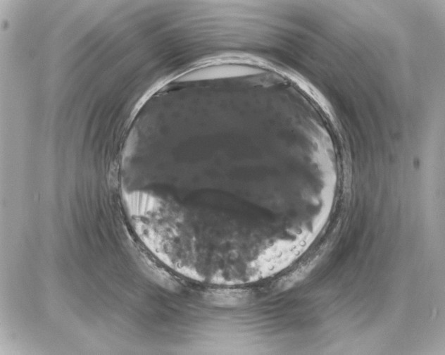 X0000085220953200704091928