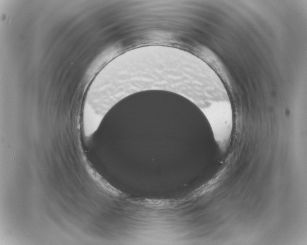 X0000085220954200704091928