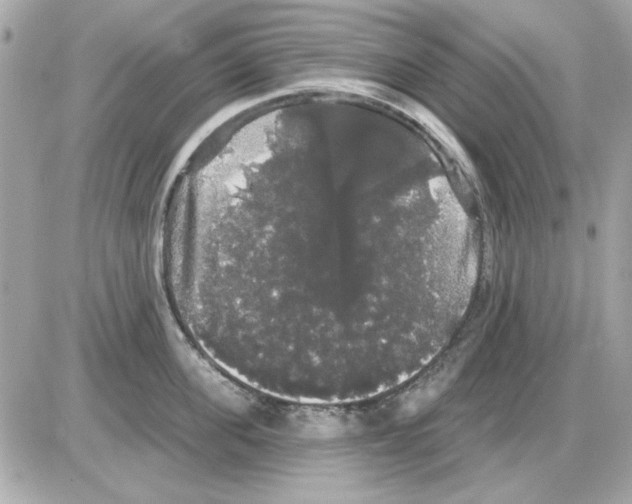 X0000085220955200704091928